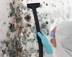 Grundy Center, IA Mold Removal Company